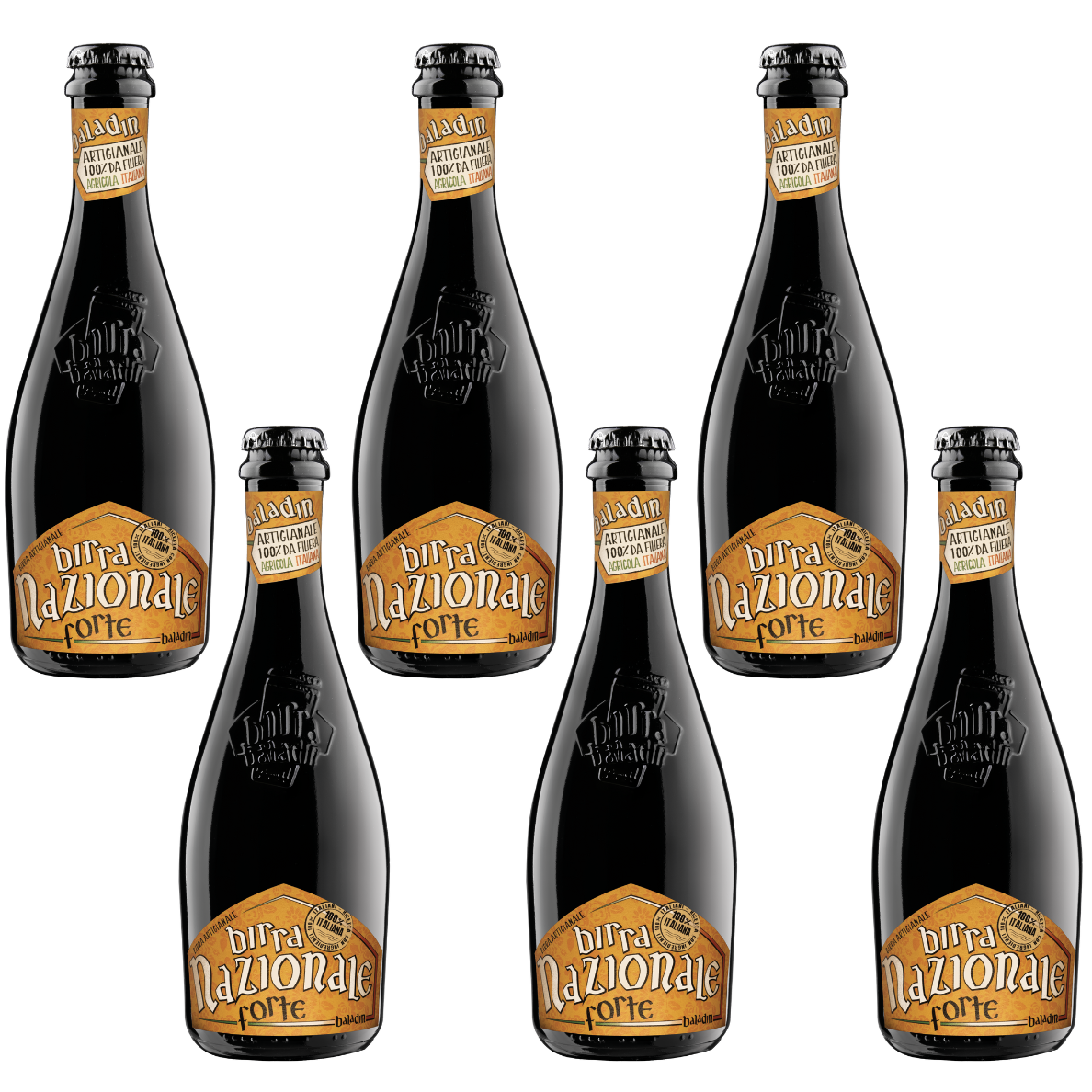 Box Scorta - 12 Nazionale Forte 33CL